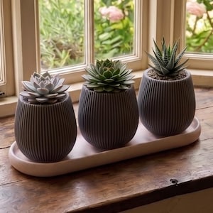 Modern Succulent Planters With Drainage Holes and Drip Tray Indoor Plant Pot Decorative Japandi Baleal Flower Pot and Saucer : Home Décor