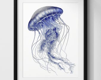 May include: A framed wall art print featuring a detailed blue and white illustration of a jellyfish. The jellyfish has a rounded, textured bell and long, flowing tentacles that extend downwards, centred within a simple black rectangular frame.