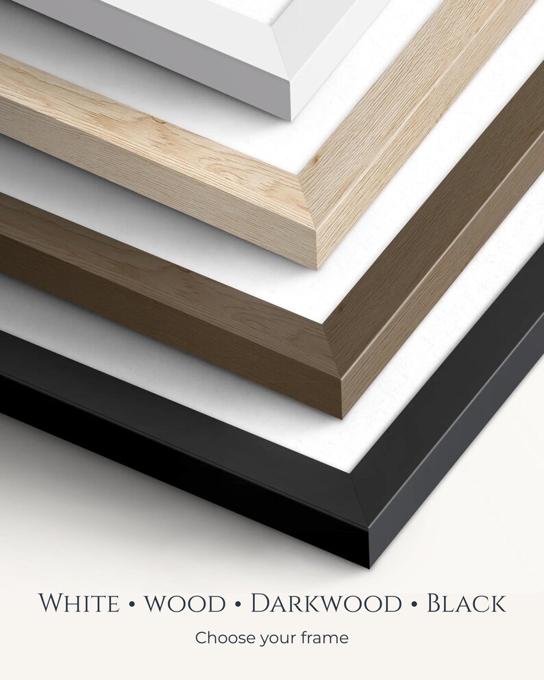 May include: A stack of four rectangular picture frames in white, light wood, dark wood, and black finishes, each featuring a mitered corner design. The text below reads: WHITE &bull; WOOD &bull; DARKWOOD &bull; BLACK. Choose your frame.