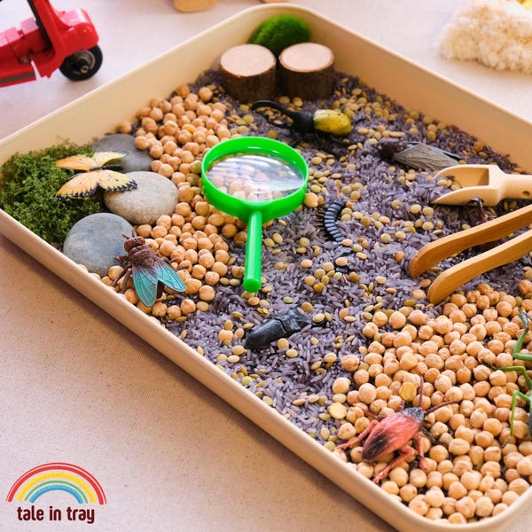 Insect Tuff Tray - Etsy UK
