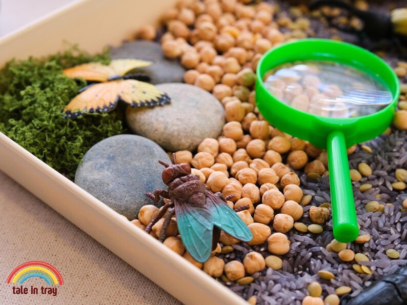 Bug Explorer Sensory Bin Insect Garden Sensory Play Set Garden Messy ...