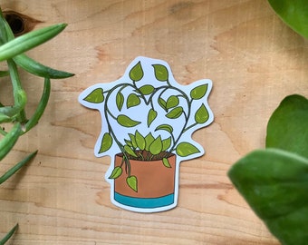 Heart Pothos plant sticker, houseplant sticker, cute vinyl sticker, laptop sticker