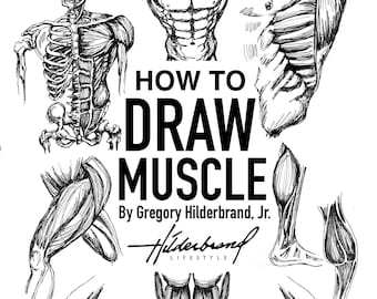 Como desenhar músculos