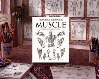 Practice Drawing Muscles, Easy Muscle Drawing Book, Anatomy Sketching Workbook, Learn Muscle Drawing, Drawing Exercises
