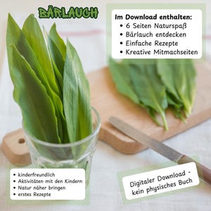 May include: Fresh green Bärlauch leaves in a glass and on a wooden board. The image includes text in German, including "Digitaler Download - kein physisches Buch" and bullet points about the download content.