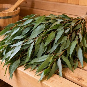 May include: A bundle of fresh green eucalyptus branches tied together with twine at the stem end. The long, slender, pointed leaves are arranged in a dense cluster, showcasing natural variations in green tones and thin, flexible woody stems.