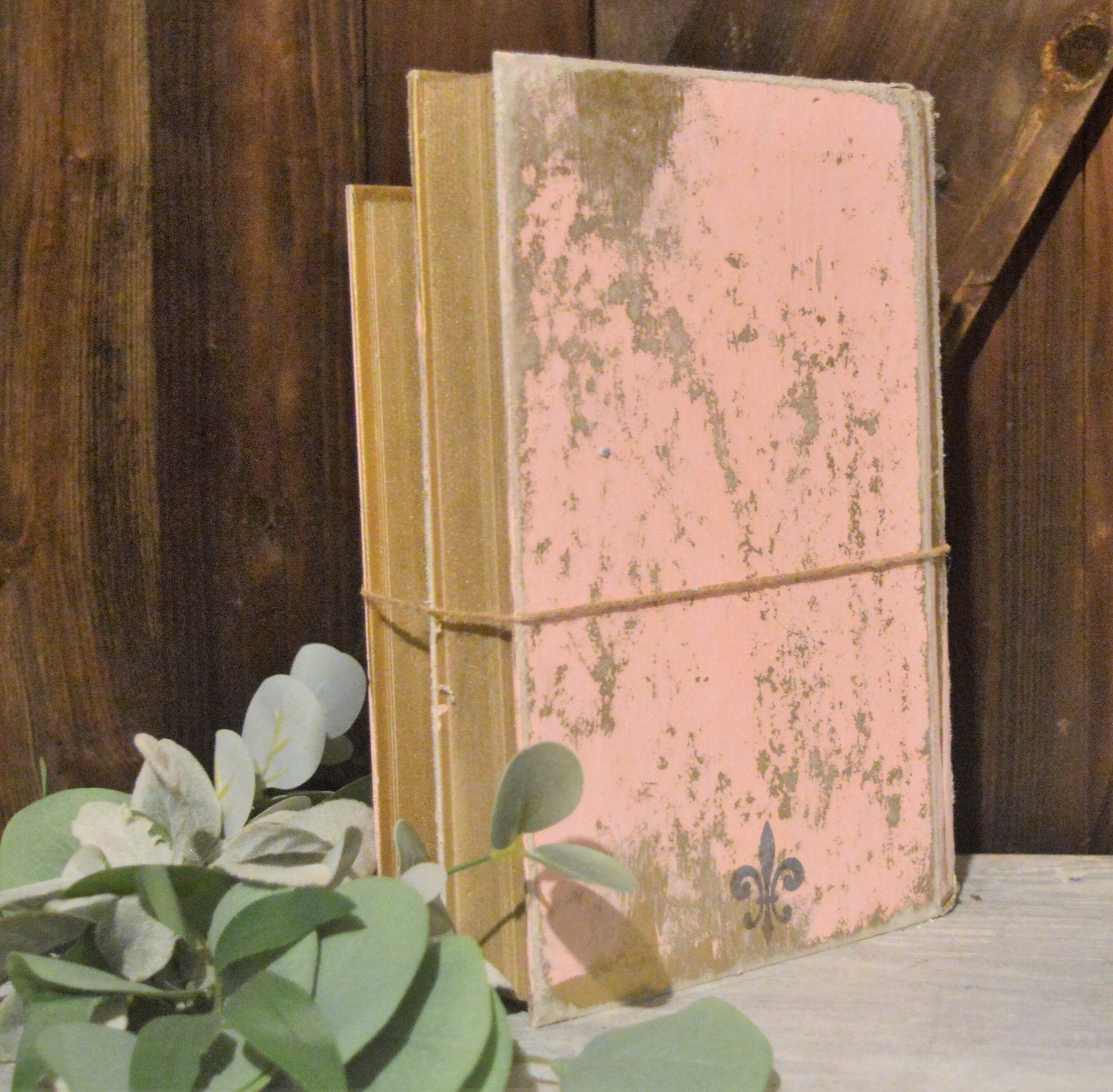 アンティーク雑貨 Shabby Pink Old French Book Set. il_1080xN