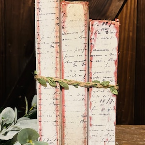 Pode incluir: Tr&ecirc;s livros antigos com capas manchadas de vermelho e texto escrito &agrave; m&atilde;o nas lombadas. Os livros est&atilde;o empilhados um em cima do outro e amarrados com barbante e folhas verdes.