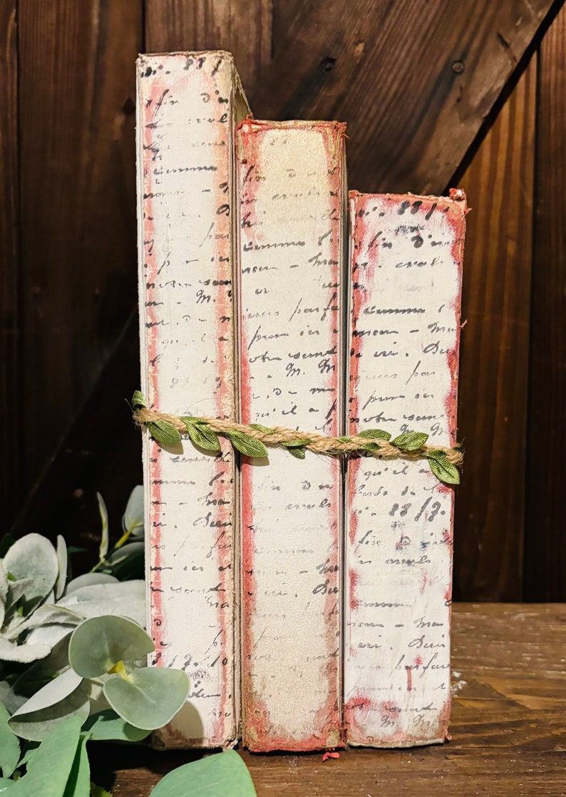 Pode incluir: Tr&ecirc;s livros antigos com capas manchadas de vermelho e texto escrito &agrave; m&atilde;o nas lombadas. Os livros est&atilde;o empilhados um em cima do outro e amarrados com barbante e folhas verdes.