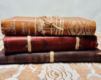 Old Books, Small Antique Poetry Books, German Poetry Books, Antique Display, Office Decor, Book Lovers Gift, Bookish Gifts, Library Decor
