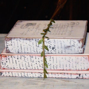 Pode incluir: Uma pilha de tr&ecirc;s livros de estilo vintage com capas pintadas de branco e escrita preta. Os livros s&atilde;o decorados com uma videira verde com folhas.