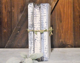 May include: A stack of three white books with black script writing on the covers. The books are tied together with twine and a sprig of greenery.