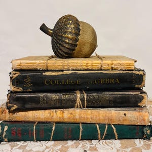 May include: A decorative bronze-colored acorn sculpture with a textured cap sits atop a stack of five vintage books. The books are bound with twine and feature worn covers in shades of tan, black, and dark green, with visible text including College Algebra.