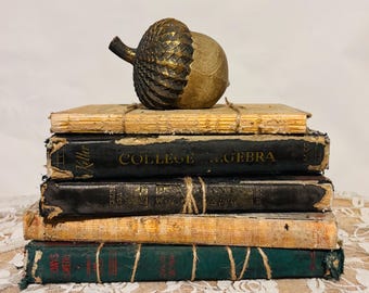 Old Books, Vintage School Books, Old Math Books, Office Decor, Book Lovers Gift, Bookish Gift, Library Decor, Shelf Stying
