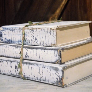 Old Book Stack, Book Decor, Neutral Shelf Decor, French Typography ...