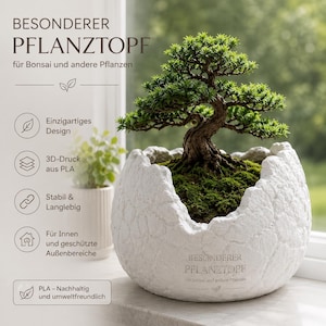 Bonsai planter made of PETG – rock-look plant pot – modern bonsai bowl – decorative planter for indoor & outdoor use – flower pot – VA5