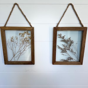 May include: Two rectangular wall frames with medium-brown wooden borders and clear glass panes. Each frame contains a single pressed dried plant specimen and features a thick jute twine loop attached to the top for hanging purposes.