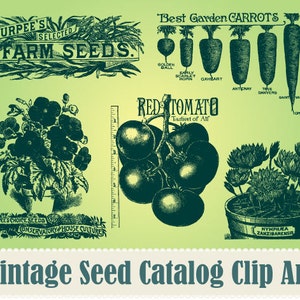 NOVA coleção de clipart do catálogo de sementes de jardim vintage - arte vetorial 100% escalável