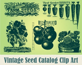 NEW Vintage Garden Seed Catalog Clip Art Collection - 100% Scalable Vector Art