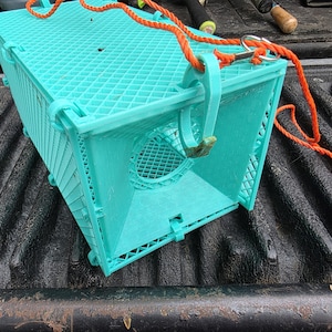 Puede incluir: Una trampa para peces rectangular de plástico turquesa claro con un exterior de patrón de rejilla, una entrada en forma de embudo y una cuerda naranja brillante unida al marco superior con un clip giratorio de metal.