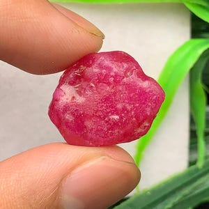 Può includere: Una pietra preziosa grezza e non lucidata con una vibrante tonalità rosso-rosata profonda. La pietra presenta una forma irregolare e arrotondata con una superficie cristallina strutturata che cattura la luce, mostrando variazioni naturali.