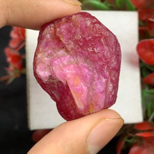 Può includere: Una pietra preziosa di rubino grezza e non lucidata con una profonda tonalità magenta e rosa. La pietra presenta una forma naturale e irregolare con una superficie cristallina strutturata che mostra variazioni di intensità di colore e zone traslucide.