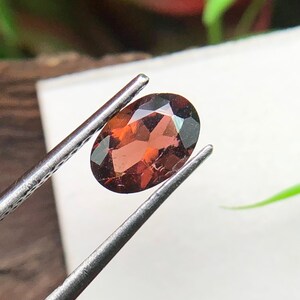 May include: An oval-shaped, faceted gemstone with a deep reddish-brown hue held by a pair of silver-toned metal tweezers. The stone features multiple triangular and trapezoidal facets that reflect light, creating a translucent appearance.
