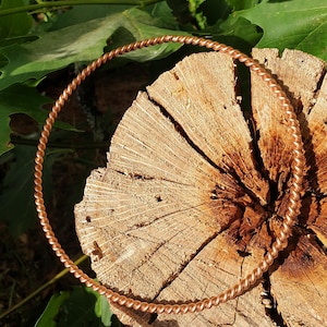 May include: A circular necklace or torque made of polished copper wire with a consistent twisted rope pattern. The metal has a warm, metallic reddish-brown hue and a smooth, reflective surface that catches the light along its entire length.