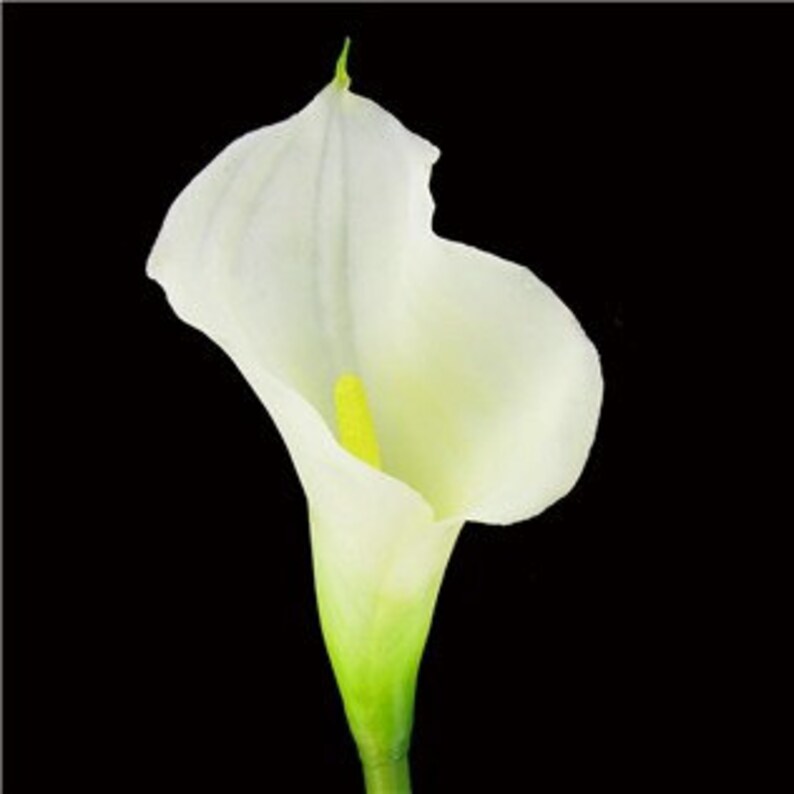 CORAL NAVY Real Touch Silk Flowers Calla Lilies Bridesmaid Etsy