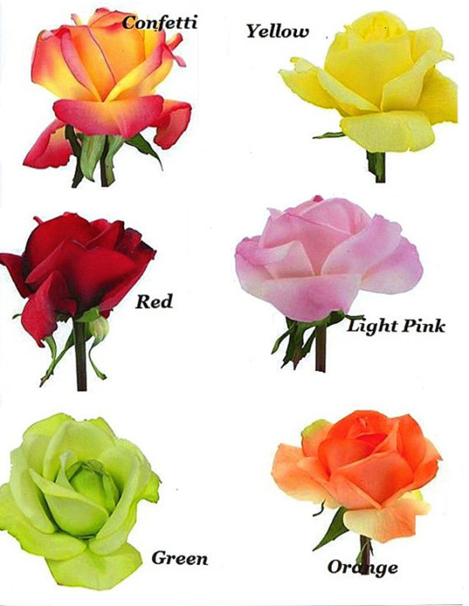 CORAL NAVY White Real Touch Silk Flowers BROOCH Wedding Etsy