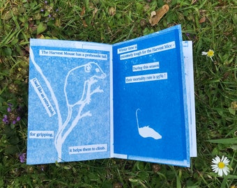 Harvest Mouse Zine