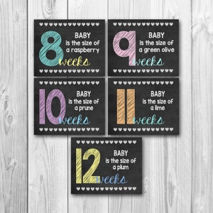 Pregnancy calendar countdown, weekly pregnancy, weekly pregnancy with fruit comparisons, maternity photo props