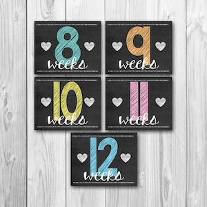 Pregnancy calendar countdown, weekly pregnancy, chalkboard printable, pregnancy stats, photo prop, 36 files