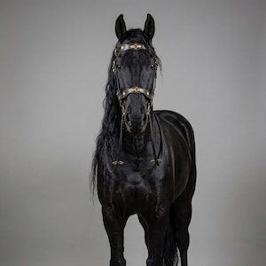 Baroque Horse Bridle Set, Spanish Leather with Gold Ornaments, Ruby Gemstones, Medieval Parade Bridle