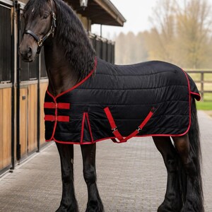 Op de afbeelding: Een zwart paard draagt een gewatteerde zwarte paardendeken met rode bies en verstelbare rode borst- en buiksingels. Het paard draagt een zwart halster en staat op een verhard oppervlak bij een stalgebouw met houten deuren.