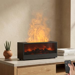 May include: A black rectangular electric fireplace with a realistic flame effect. The fireplace has a glass front, simulated logs, and control buttons. A small potted plant and books are on the side.