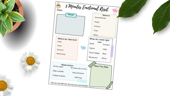 5 Minute Emotional Reset Printable / ADHD Calm Down Worksheet