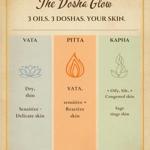 May include: An informational chart titled The Dosha Glow: 3 OILS. 3 DOSHAS. YOUR SKIN. It features three vertical columns labeled Vata, Pitta, and Kapha with corresponding icons and text describing skin types including dry, thin, sensitive, reactive, and oily.
