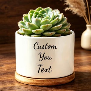 May include: A white cylindrical ceramic planter featuring the black printed text Custom You Text. The planter holds a green succulent plant and sits on a circular light brown wooden base, providing a stable foundation for the plant container.