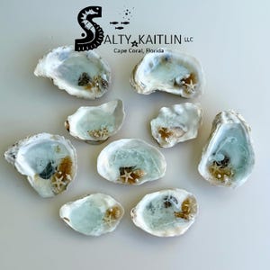 Oh Shucks! Beach in a Half Shell Resin Oyster Seashell Decor Piece
