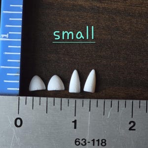 May include: Four small white pointed objects arranged in a row next to a blue plastic ruler and a metal ruler. The metal ruler shows measurements in inches, with the objects measuring less than 0.5 inches. The word small is printed in teal.