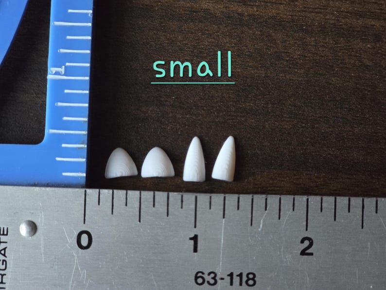May include: Four small white pointed objects arranged in a row next to a blue plastic ruler and a metal ruler. The metal ruler shows measurements in inches, with the objects measuring less than 0.5 inches. The word small is printed in teal.