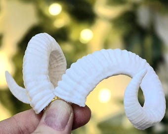 May include: A pair of white, curved ram horns featuring a textured, ridged surface. The horns are attached to a small metal clip base, designed to be worn as a hair accessory. The material appears matte and solid, with a distinct spiral shape.