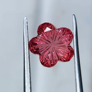 以下が含まれることがあります： 5枚の花びらを持つ花の形にカットされた鮮やかな赤色の宝石。放射状の複雑な直線状のファセットが施されています。宝石は、銀色の細い金属製のピンセットの先端でしっかりと挟まれており、その透明感のある質感が際立っています。