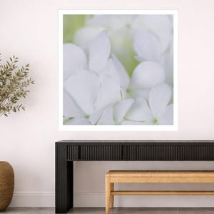 May include: A framed close-up photograph of white hydrangea flowers. The petals are soft and delicate, with subtle water droplets. The image is displayed on a white wall above a black console table and a wooden bench.