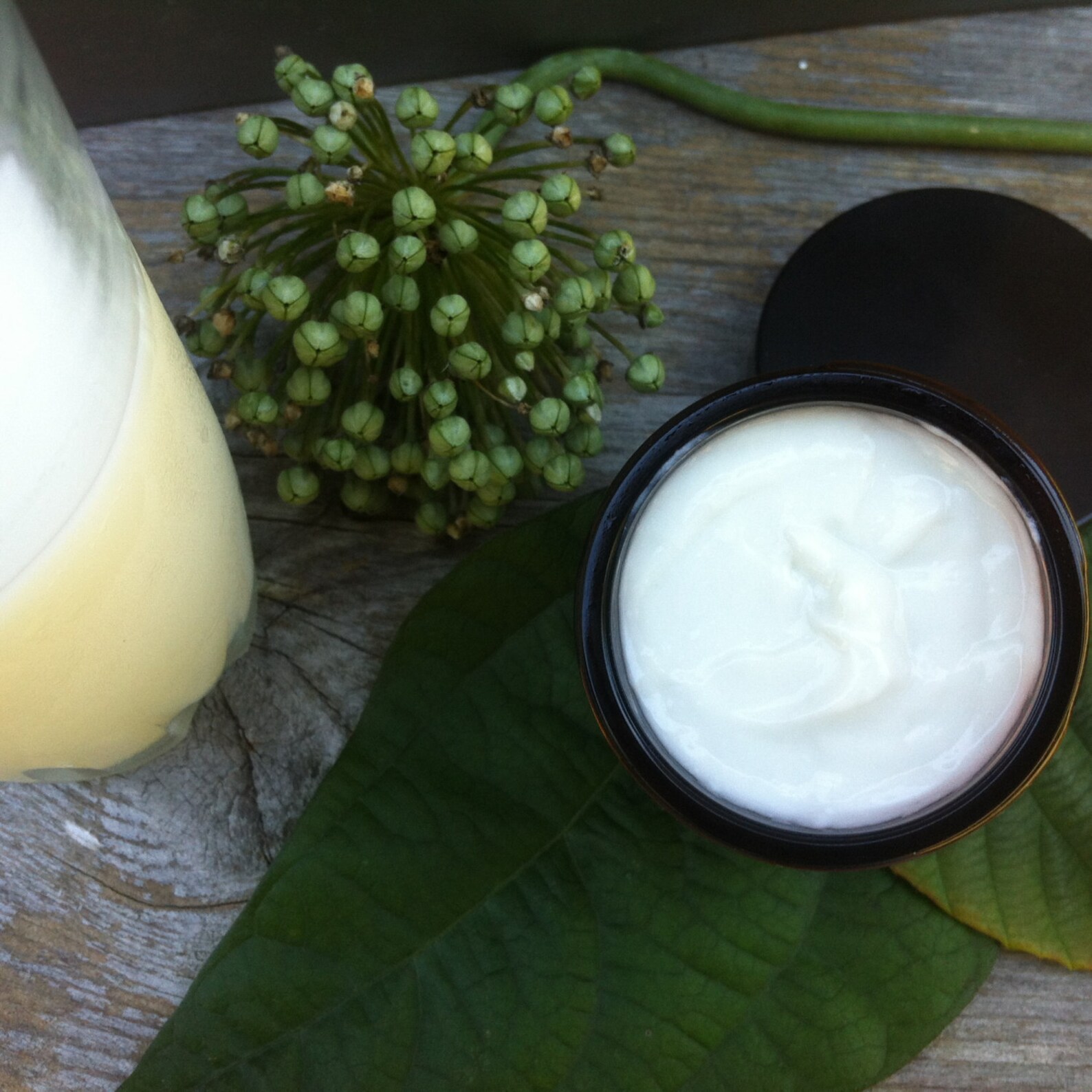 Organic Moisturizer Organic Goat Milk Face Creme With Etsy