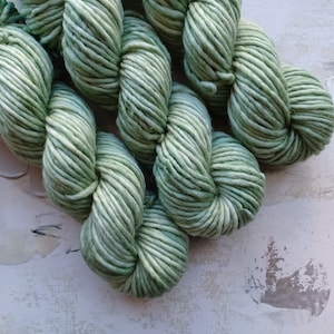 Succulent - Hand dyed Yarn / Handdyed Yarn, Bulky Yarn, Chunky Yarn, Wool Yarn, Jade Green - Single Ply - Superwash Merino/Nylon – 100g