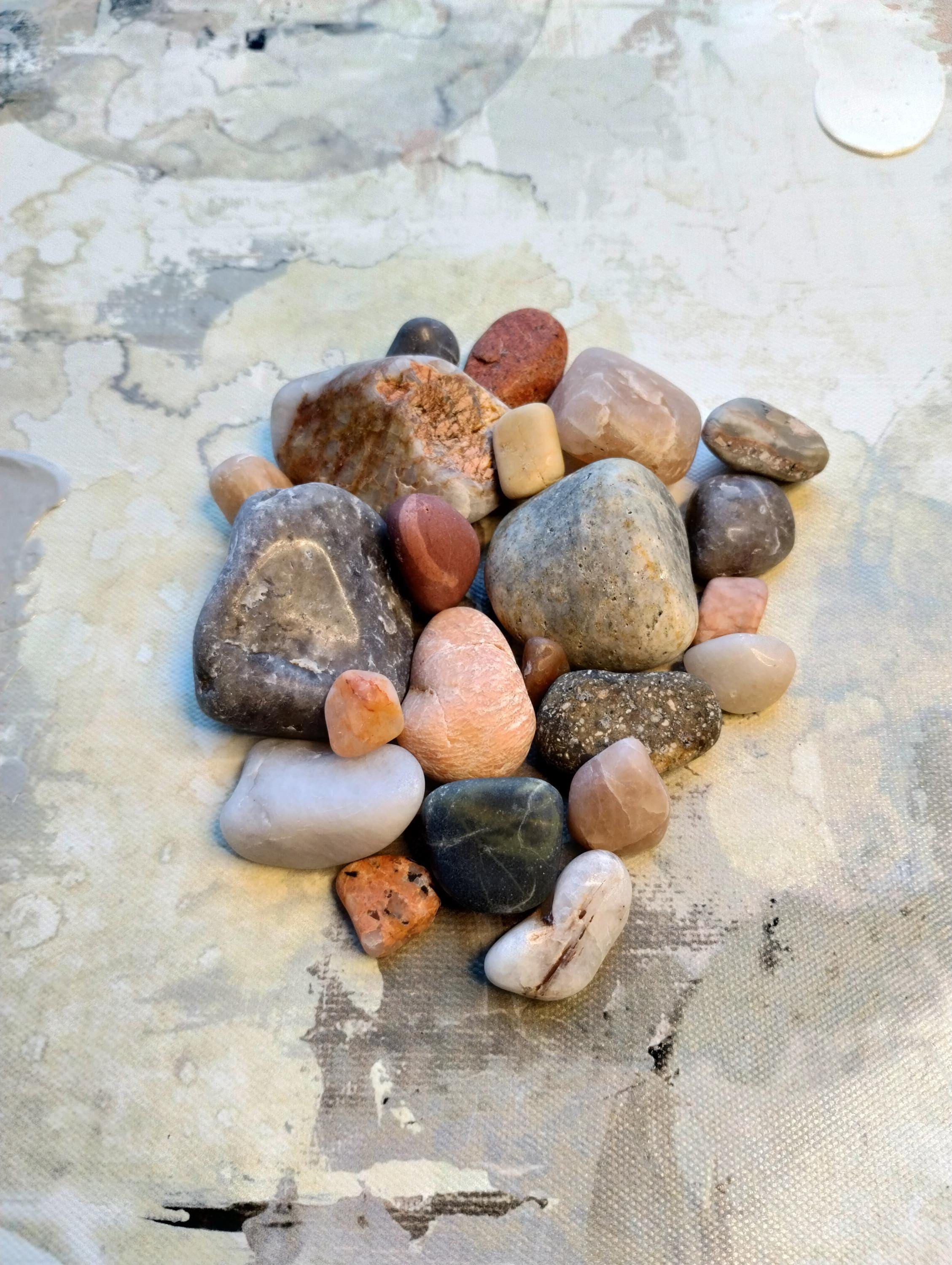 Mixed Rocks for Tumbling OR Mixed Tumbled Rocks from the Colorado Rocky Mountains - Quartz, Jasper, Agate, Feldspar, Chalcedony, and more!