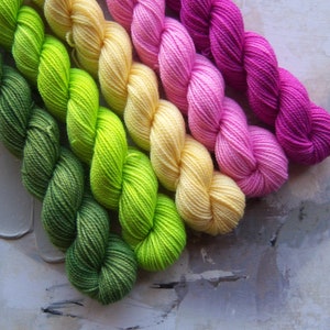 Azalea mini skein set, Hand Dyed Yarn / Handdyed yarn, Sock Yarn, Wool yarn, 10g, 20g, and 50g sets