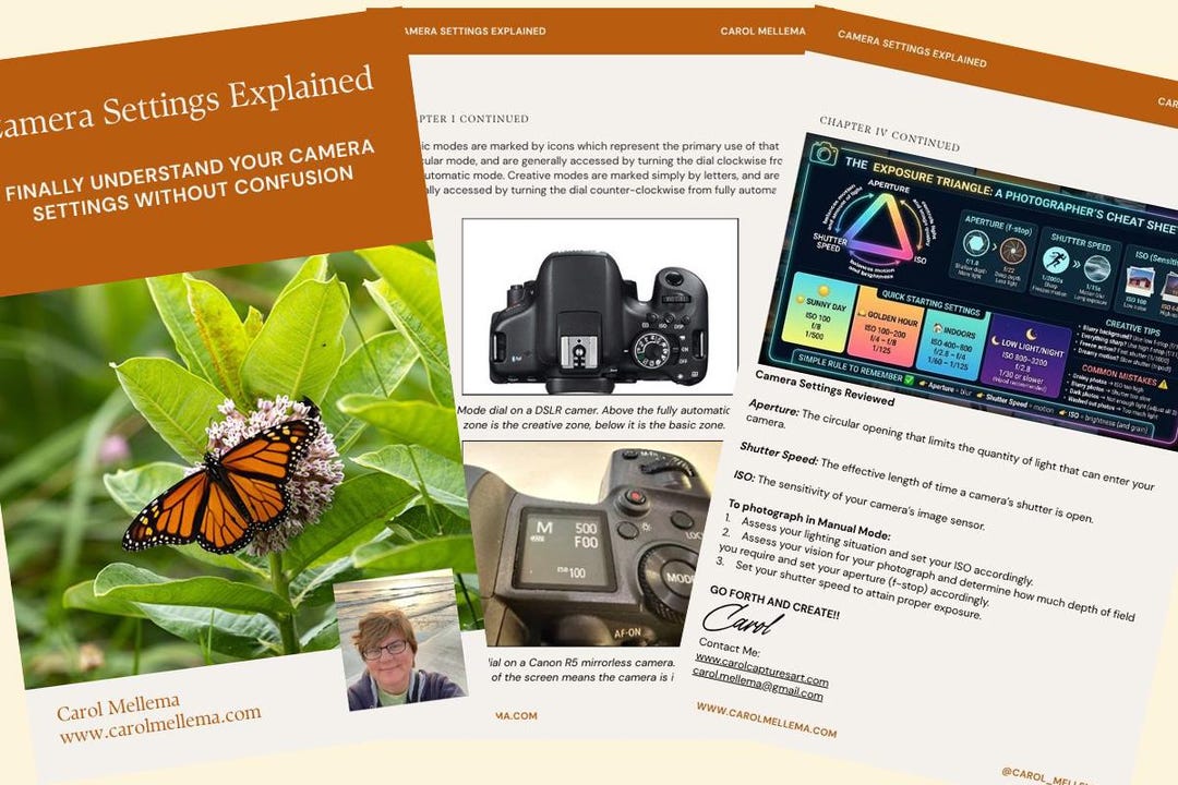 Beginner Photography Guide – Camera Settings Explained PDF (digital ...